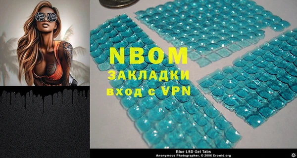 стафф Осташков