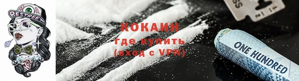 дурь Пестово