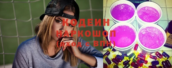 дурь Пестово