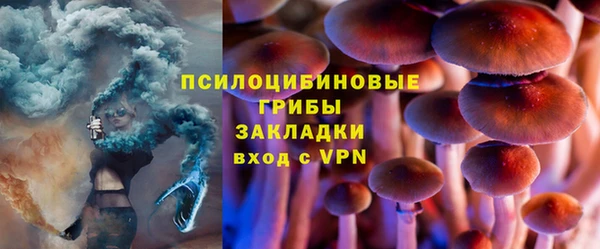 прущая мука Няндома