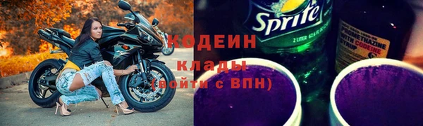 дурь Пестово