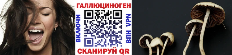 Галлюциногенные грибы Psilocybe Микунь